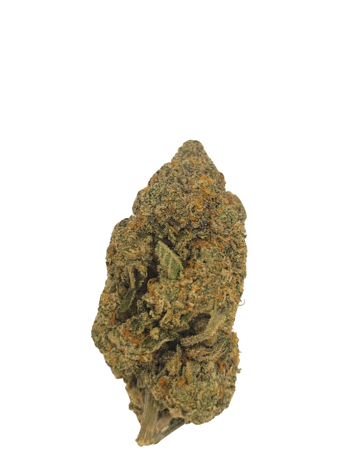 Boston Tea Party Strain Guide: Benefits, Effects, and Where to Buy