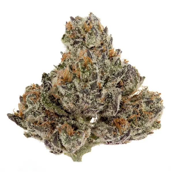 Sweet Tea Sherb Strain: Effects, Flavor Profile & Growing Tips